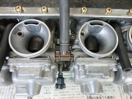 OLYMPUS DIGITAL CAMERA P3015523