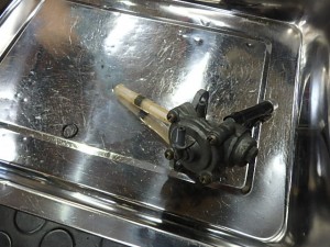 OLYMPUS DIGITAL CAMERA P3045530