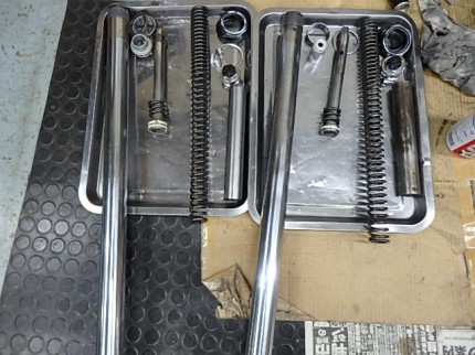 OLYMPUS DIGITAL CAMERA P3045535