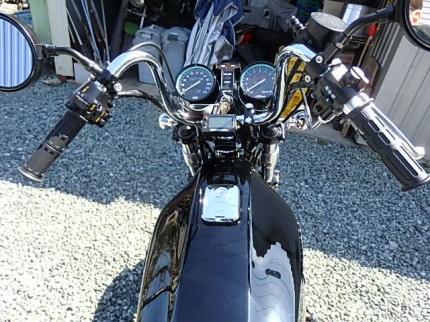 OLYMPUS DIGITAL CAMERA P3175595