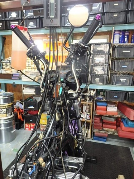 P4195787-e1776678853922