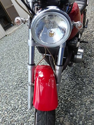 P9193456-e1761731919556