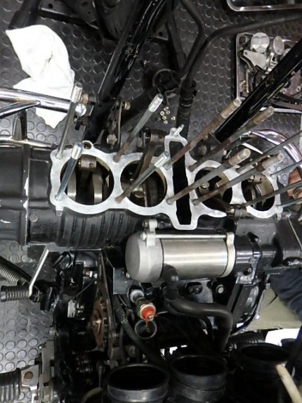 PA313846-e1762591349241