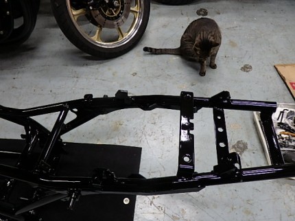 OLYMPUS DIGITAL CAMERA PB053903